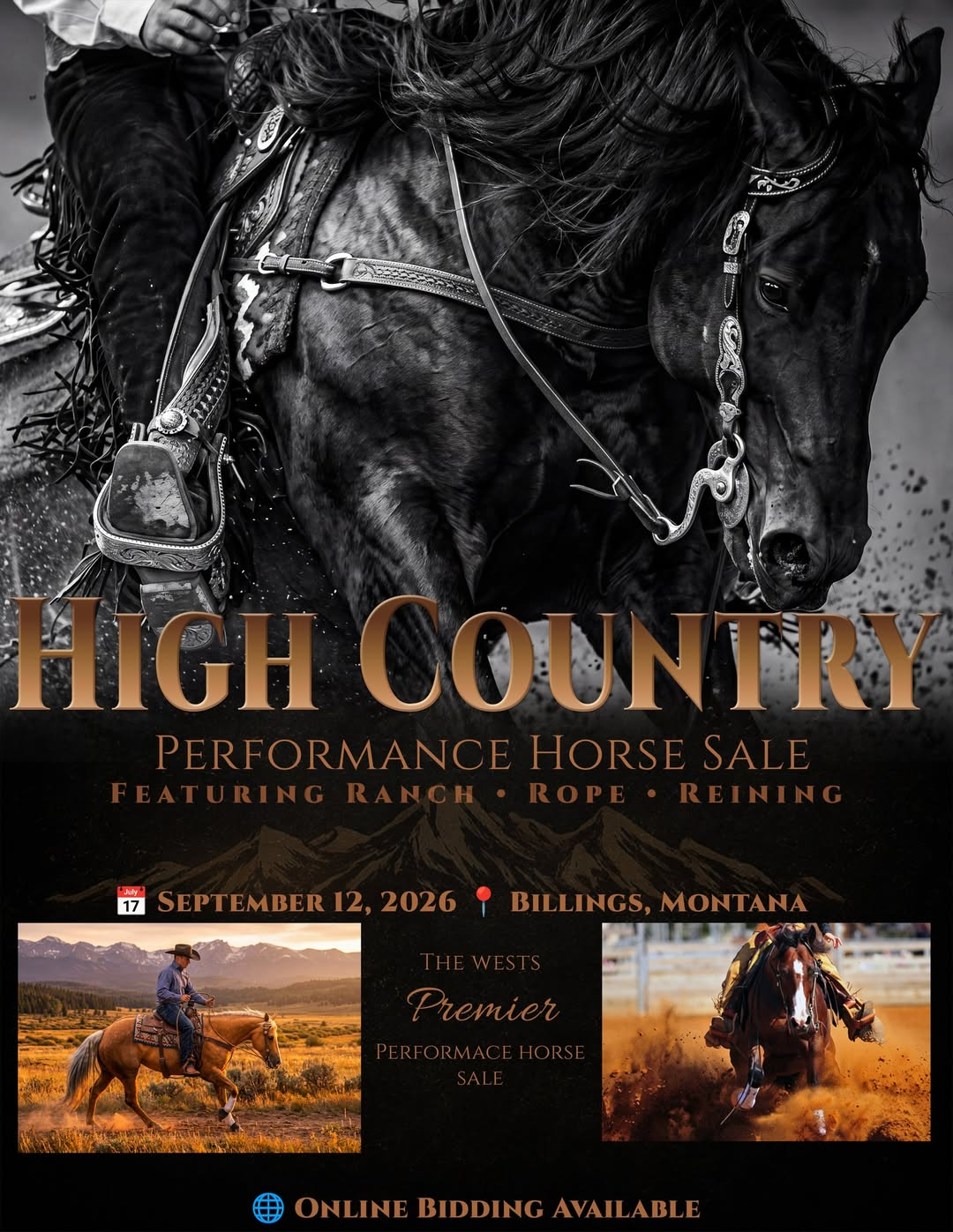 High Country Performance Horse Sale